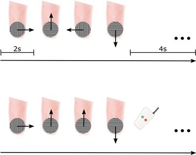 Increased Right Posterior STS Recruitment Without Enhanced Directional-Tuning During Tactile Motion Processing in Early Deaf Individuals